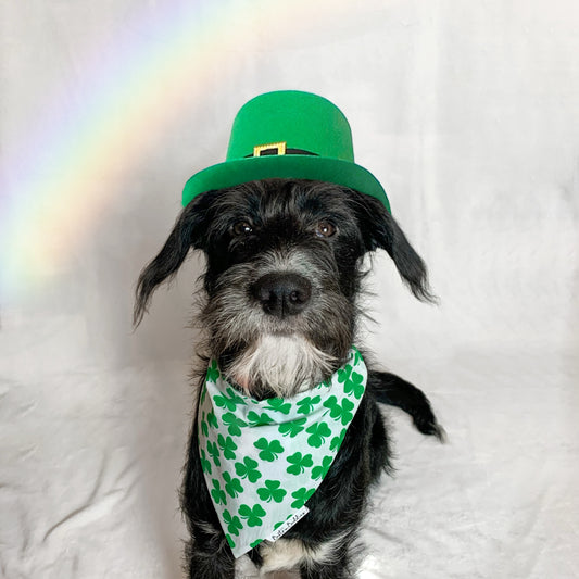 St Patrick's Day Dog Bandana