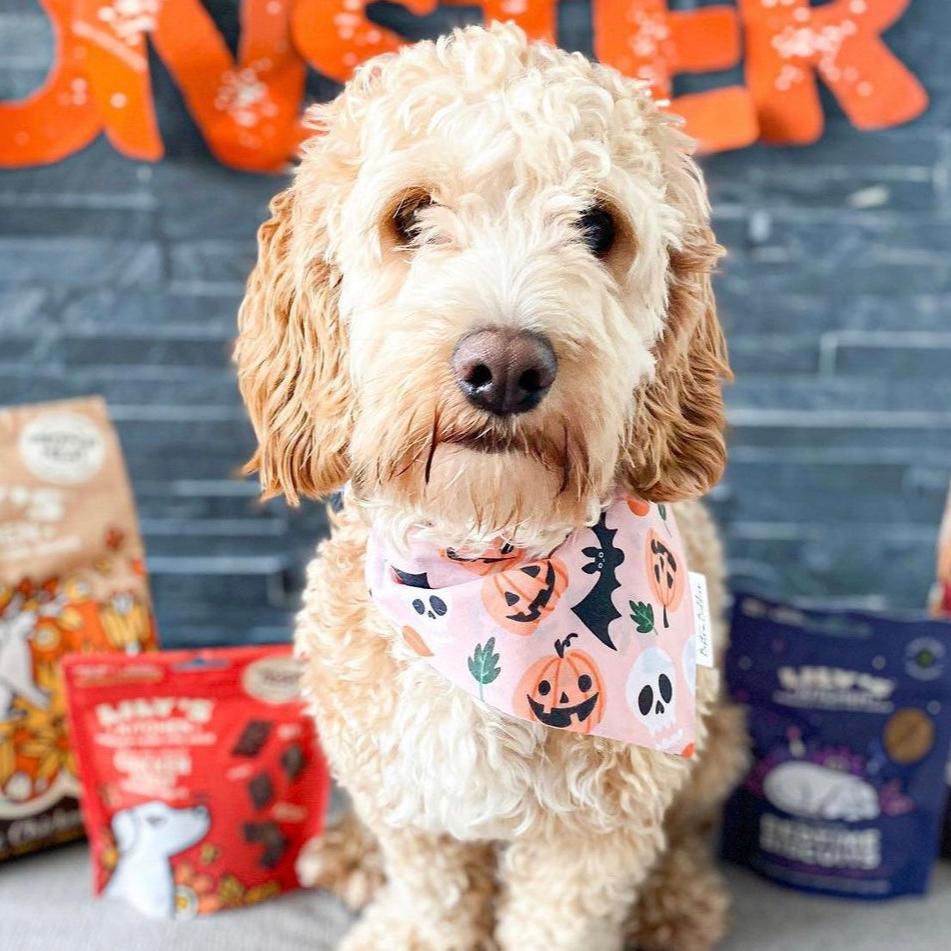 Peachy Pumpkins Bandana