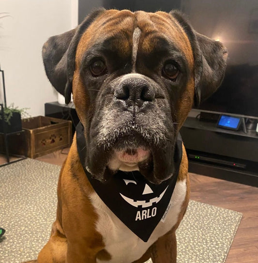Black Pumpkin Face Bandana