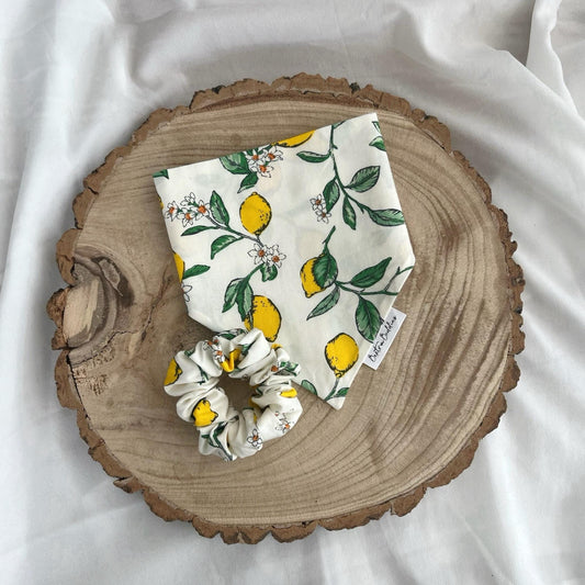 Lemon Dog Bandana