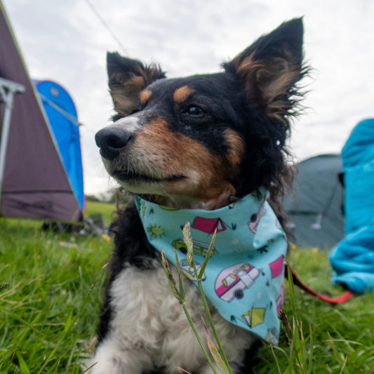 Happy Camper Dog Bandana