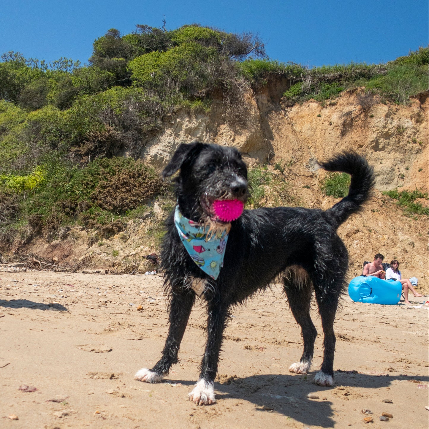Happy Camper Dog Bandana