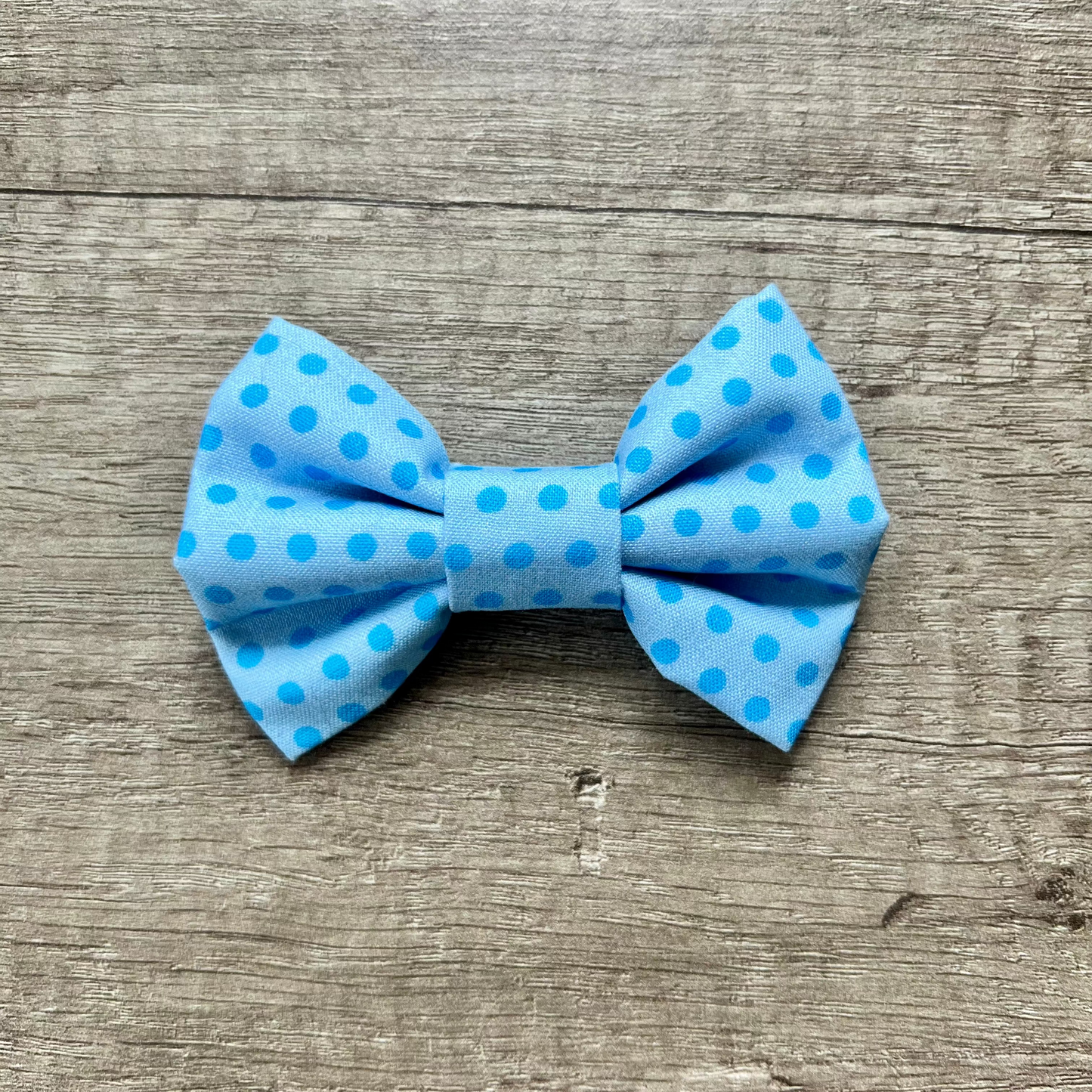 Blue Dotty Bow