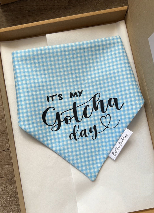 Blue Gingham Gotcha Day Bandana