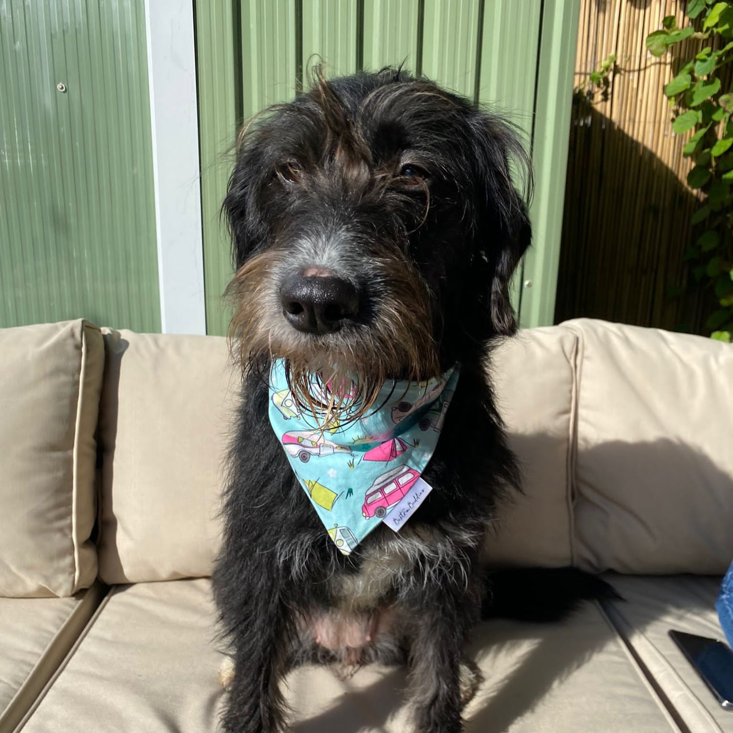 Happy Camper Dog Bandana