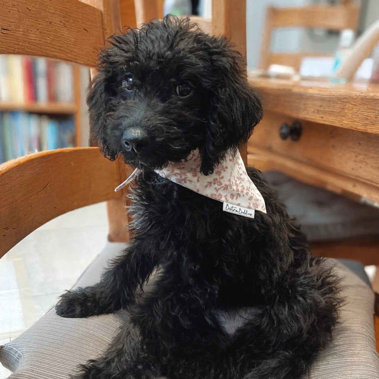 Floral Fantasy Dog Bandana