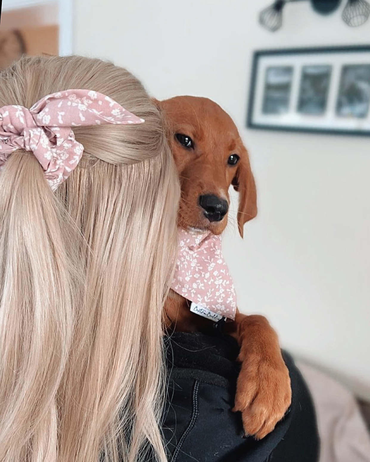 Floral Fantasy Dog Bandana