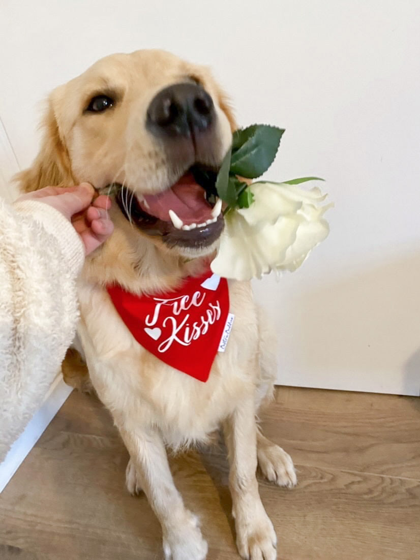 Free Kisses Bandana