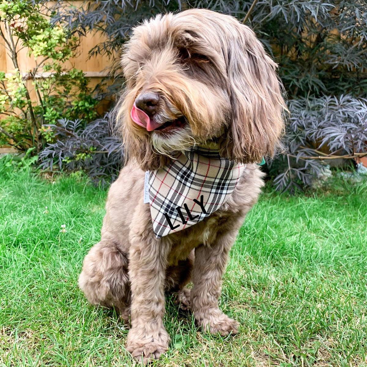 Furberry Dog Bandana