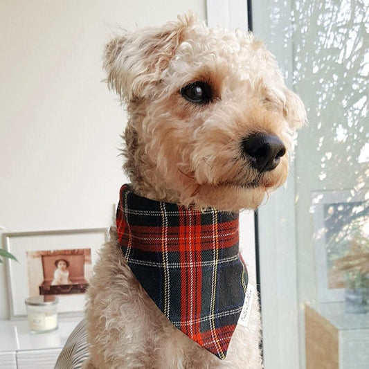 Winter Tartan Bandana