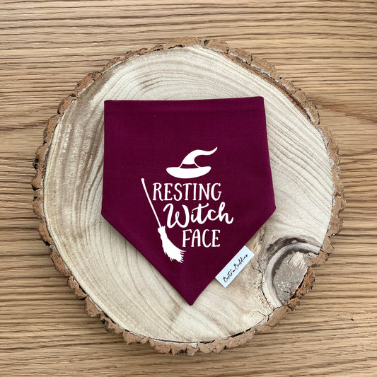 Resting Witch Face Dog Bandana