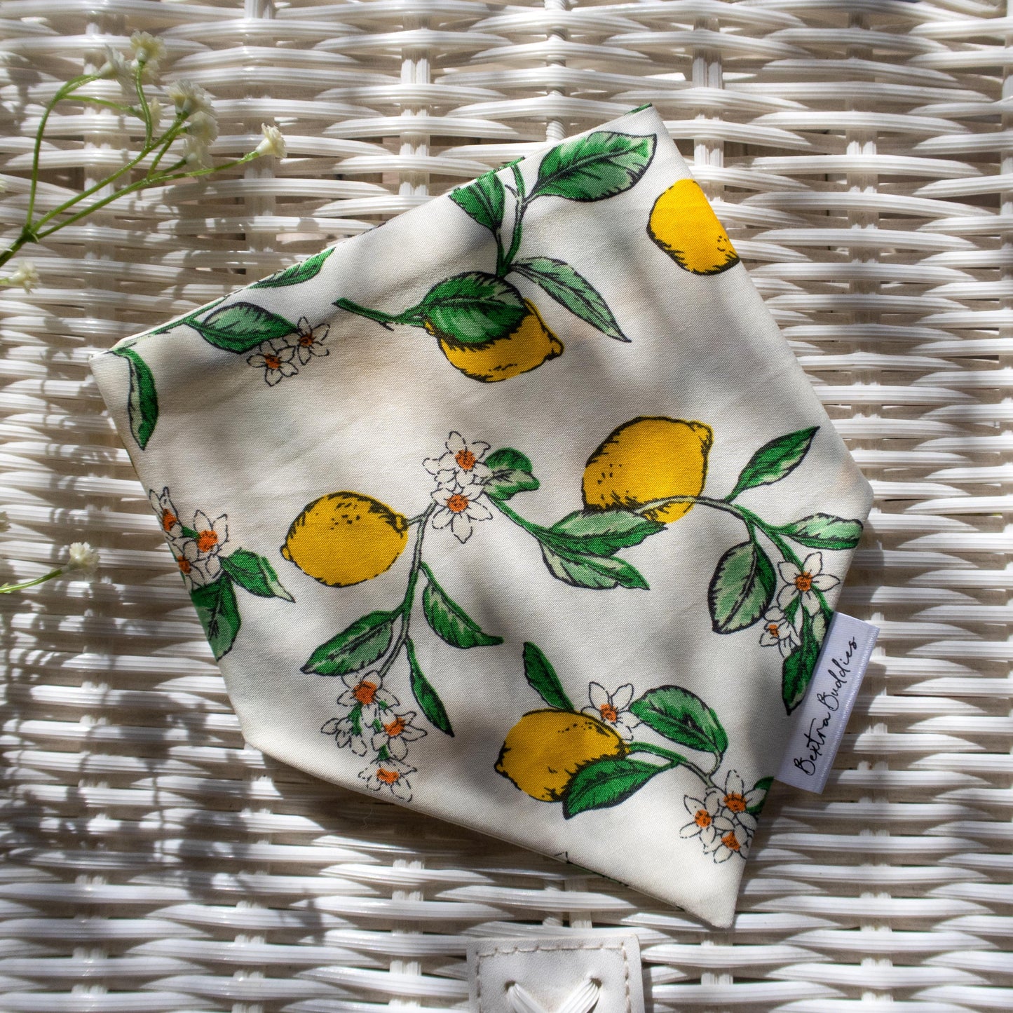 Lemon Dog Bandana