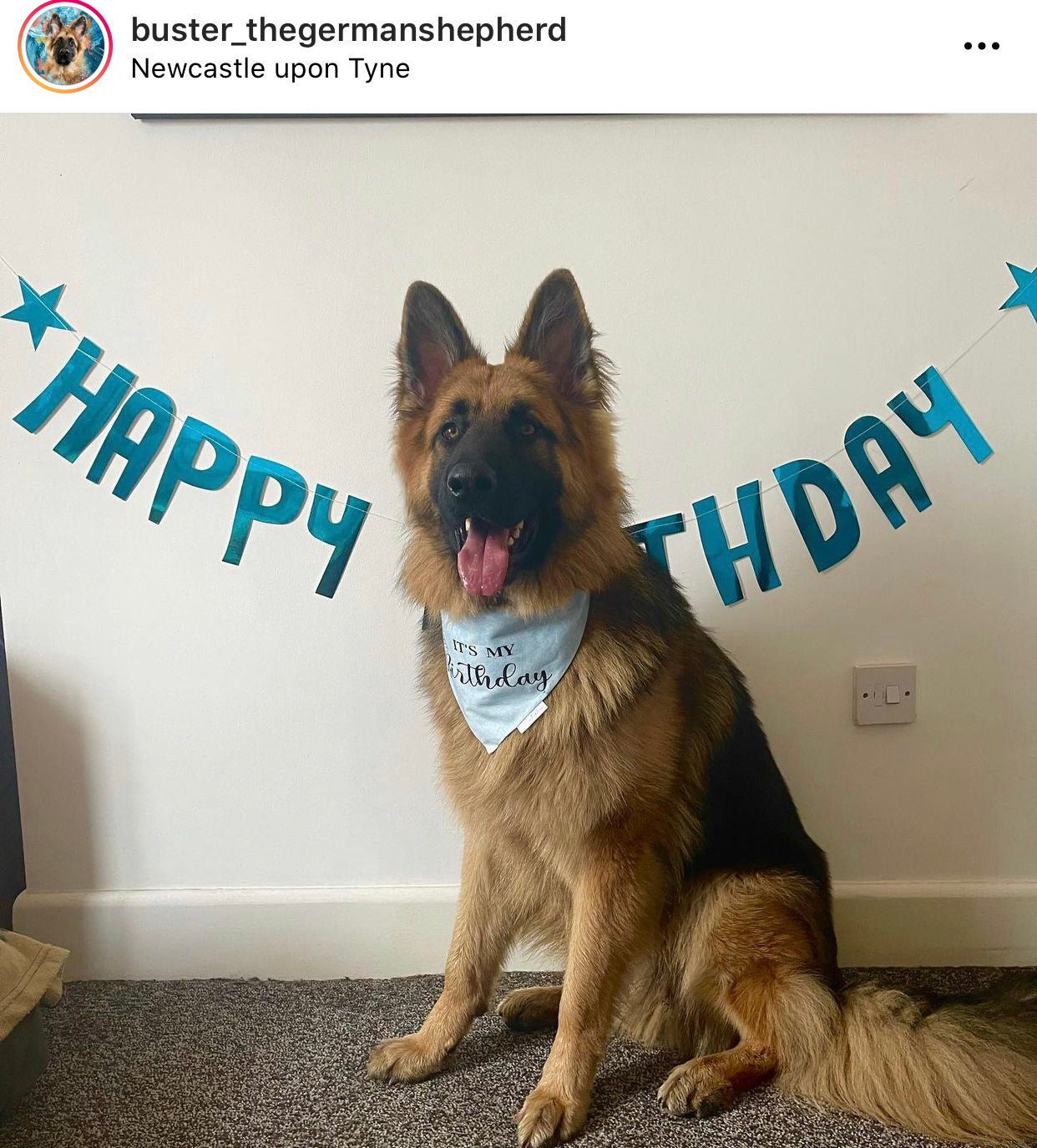 It's My Birthday Bandana - Blue