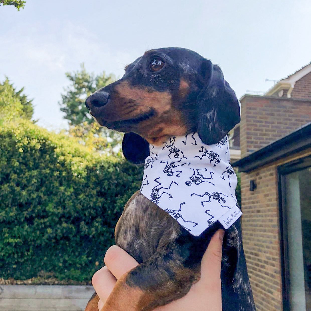 Skeleton Bandana