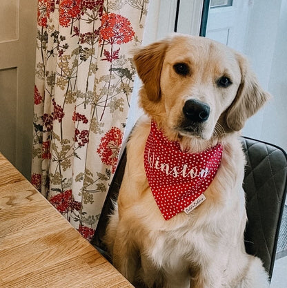 Tiny Hearts Bandana