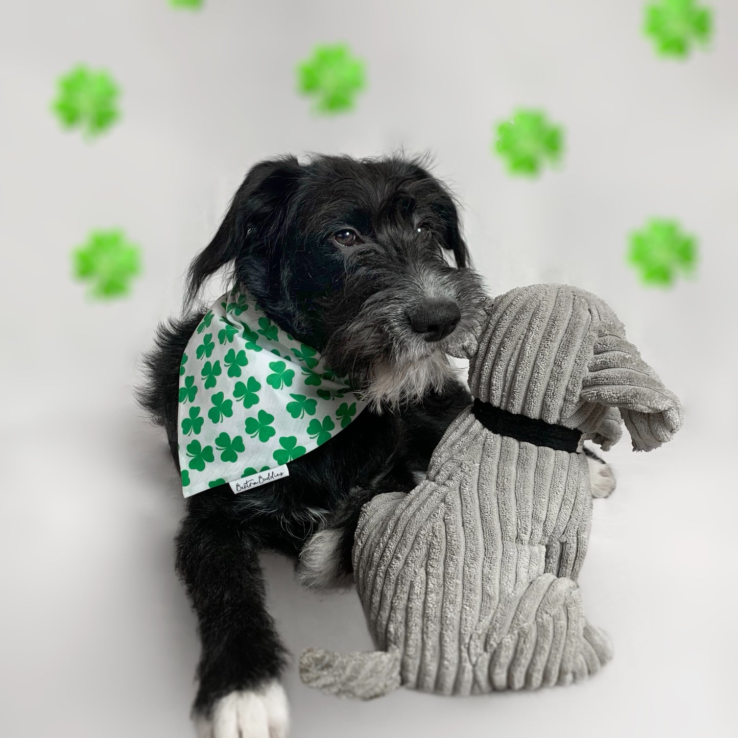 St Patrick's Day Dog Bandana