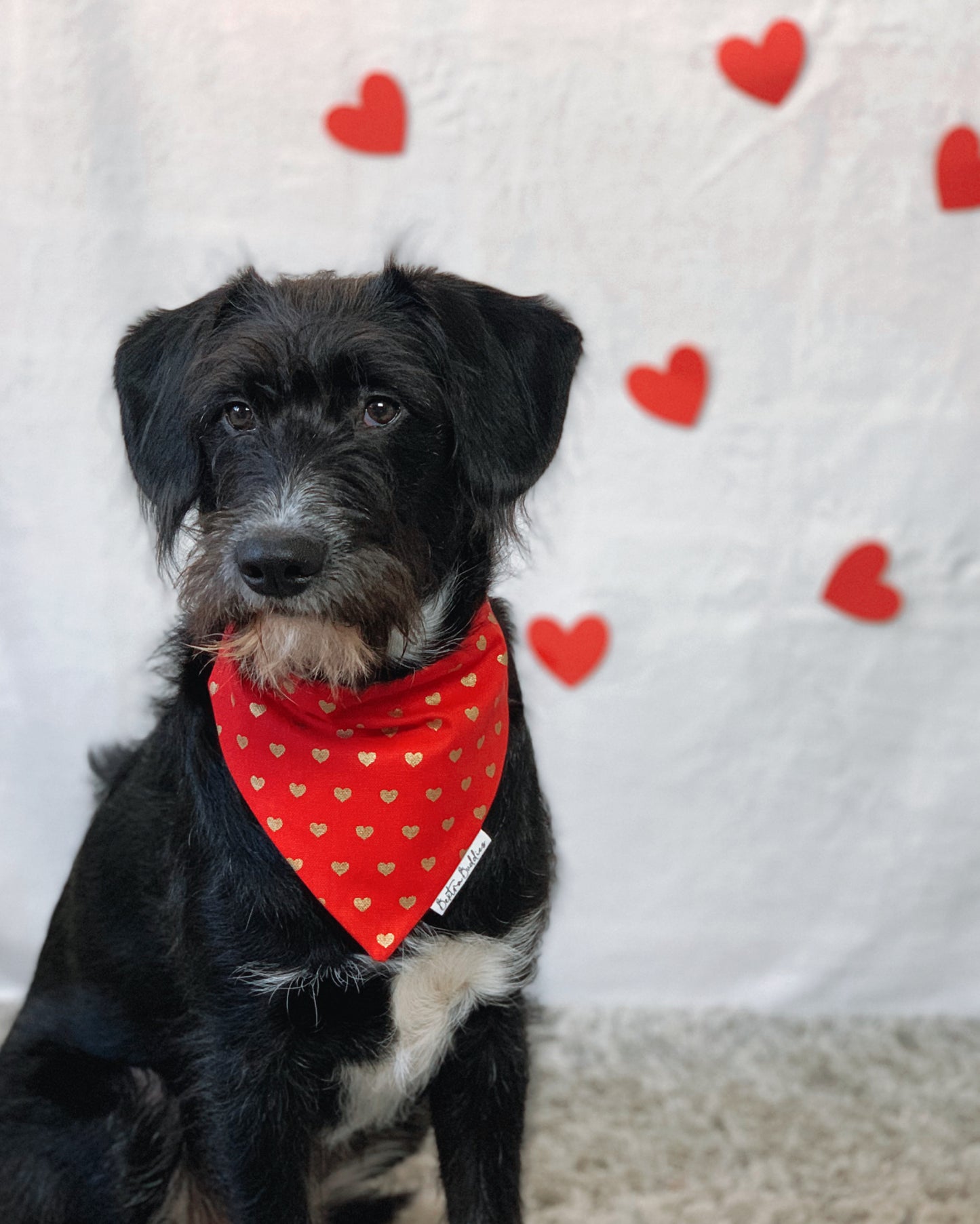 Gold Hearts Bandana