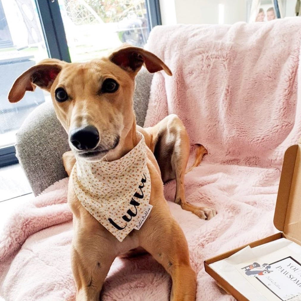 Springtime Dog Bandana