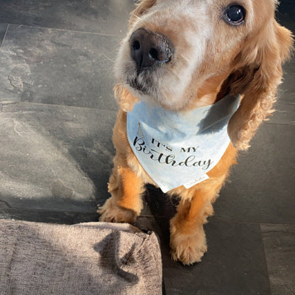 It's My Birthday Bandana - Blue