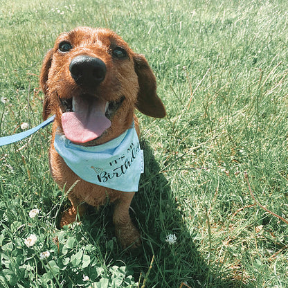 It's My Birthday Bandana - Blue