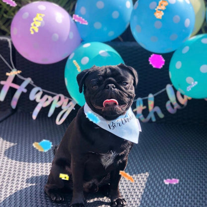 It's My Birthday Bandana - Blue