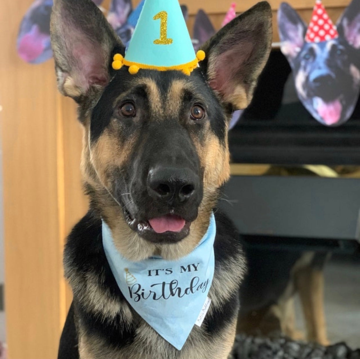 It's My Birthday Bandana - Blue