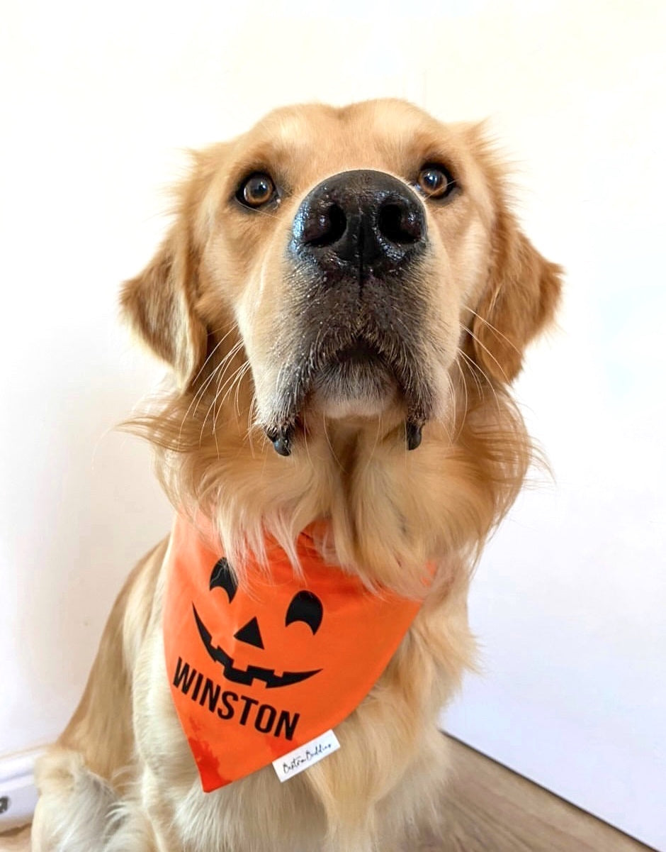 Orange Pumpkin Face Bandana