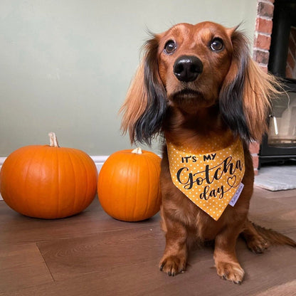 Yellow Dot Gotcha Day Bandana