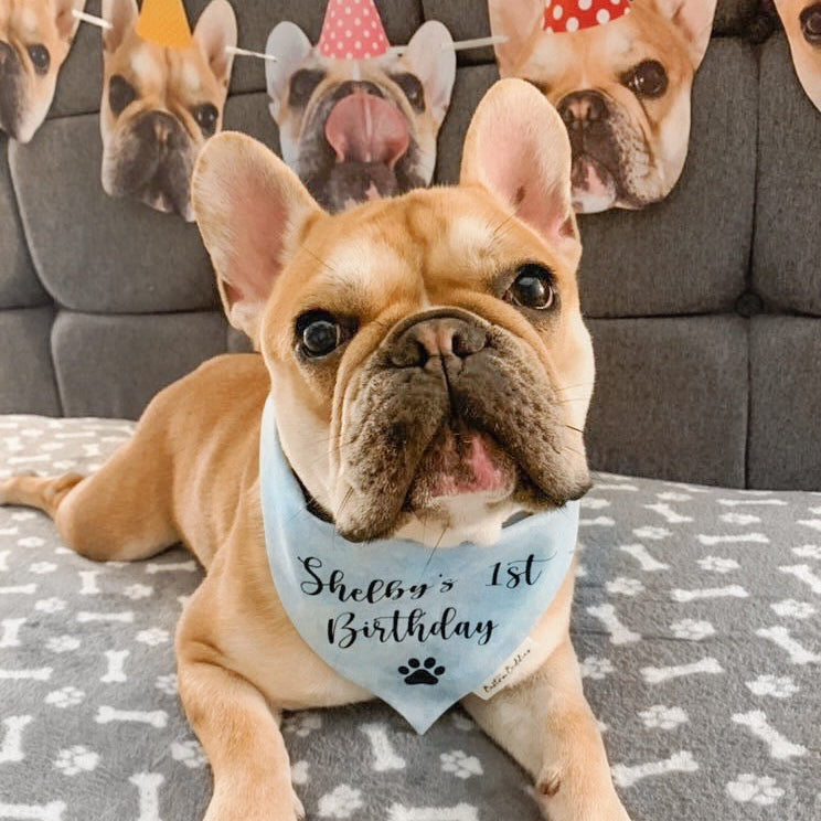 Personalised Blue Birthday Bandana