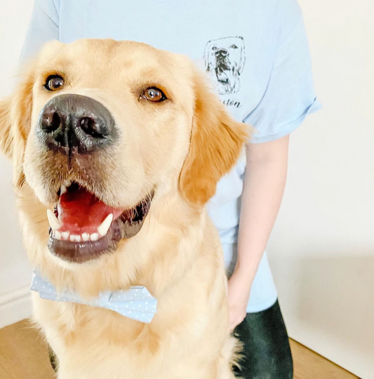 Custom Pet Portrait T-Shirt