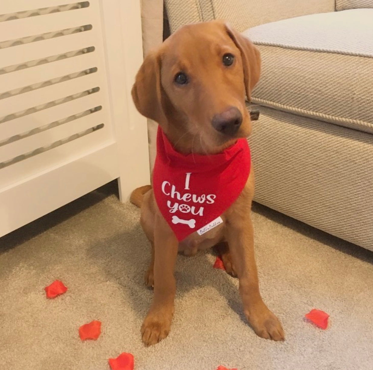 I Chews You Bandana