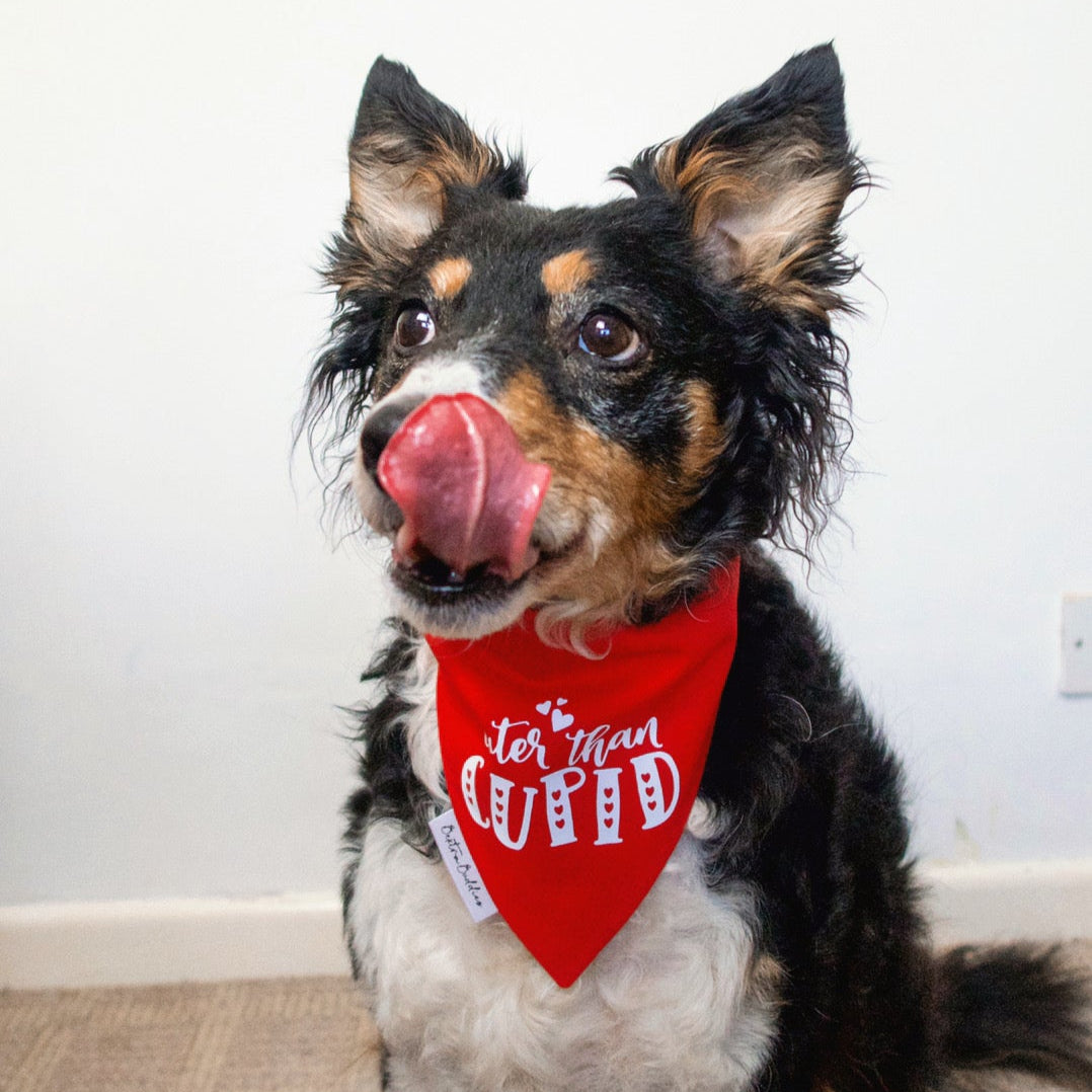 Cuter Than Cupid Bandana