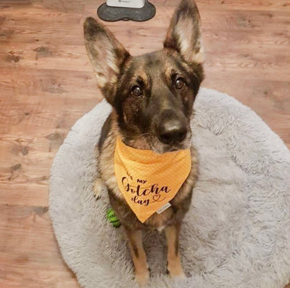 Yellow Dot Gotcha Day Bandana