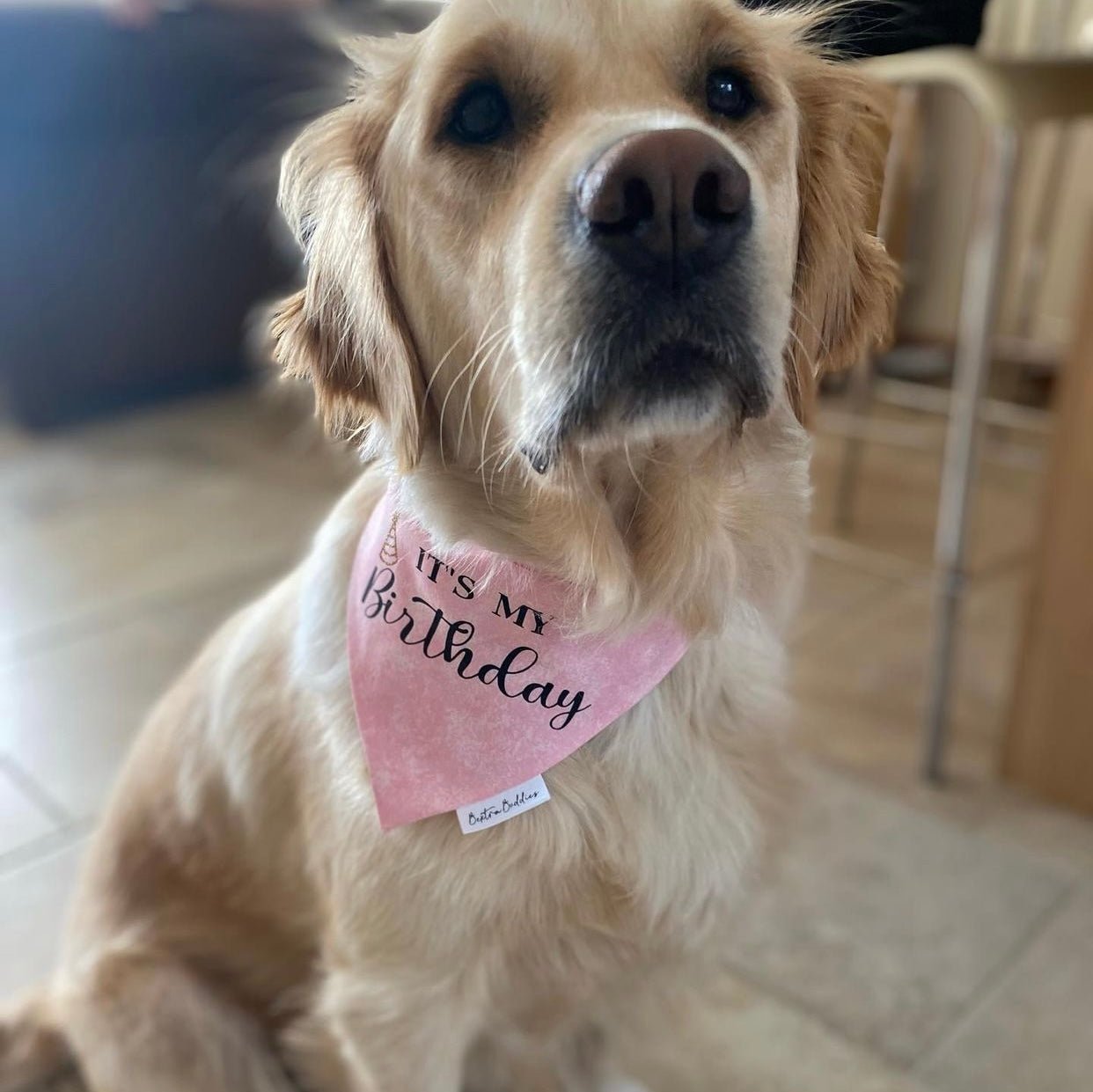 It's My Birthday Bandana- Pink