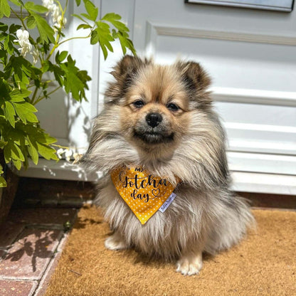 Yellow Dot Gotcha Day Bandana