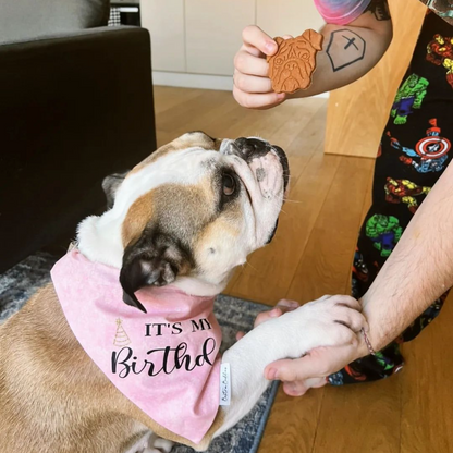 It's My Birthday Bandana- Pink