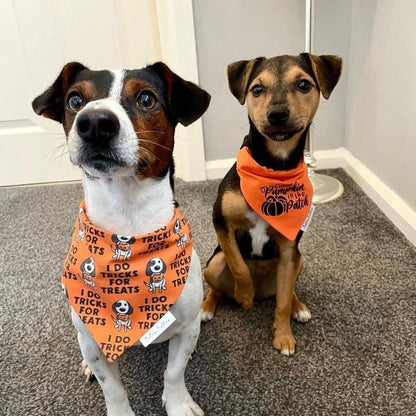 Tricks for Treats Bandana