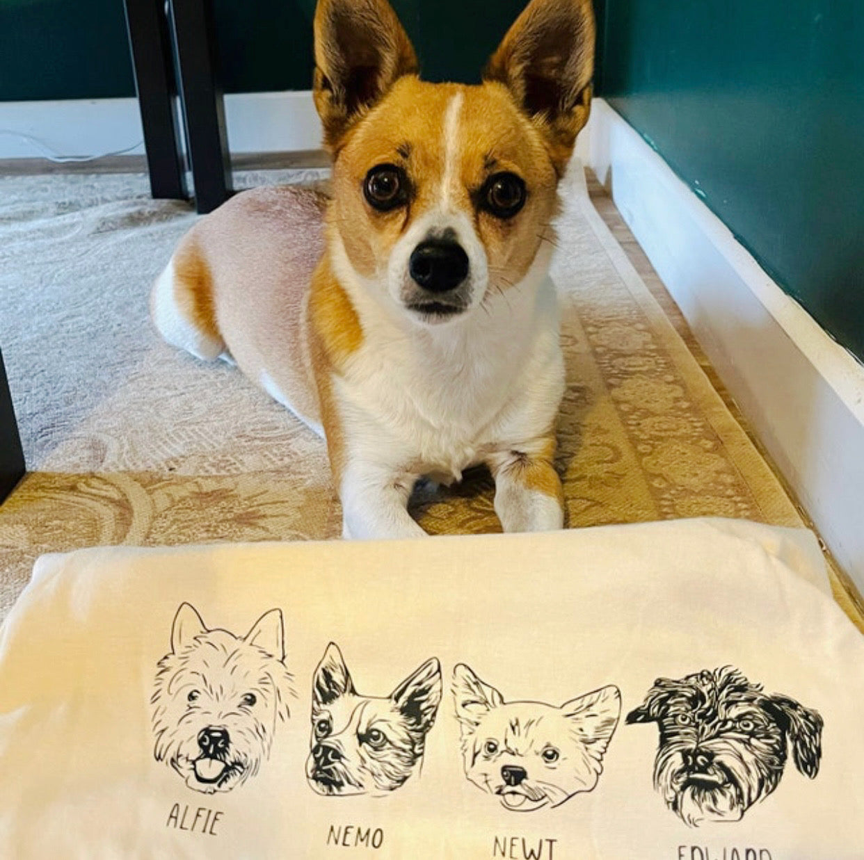 Sand Custom Pet Portrait T-Shirt