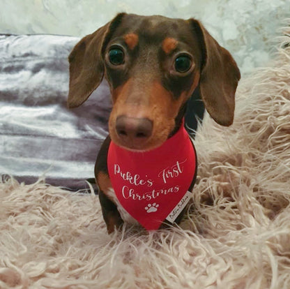 My First Christmas Bandana