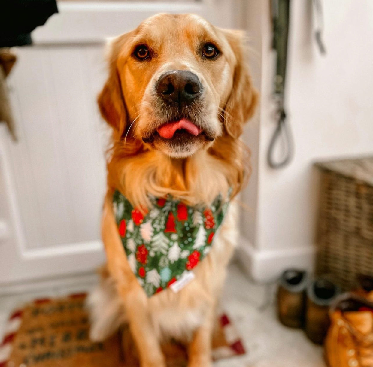 Christmas Trees Bandana