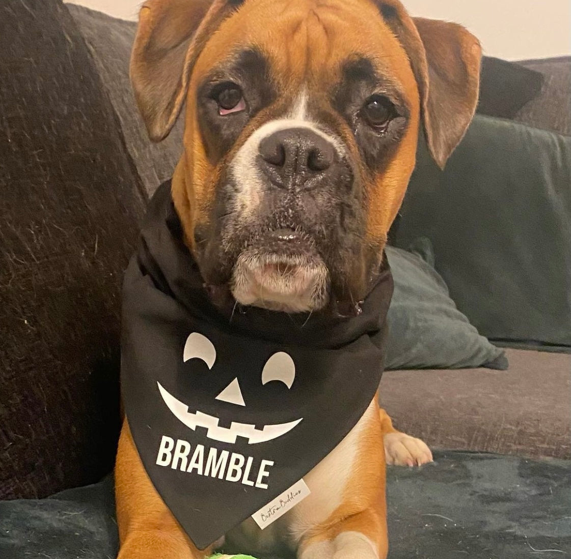 Black Pumpkin Face Bandana