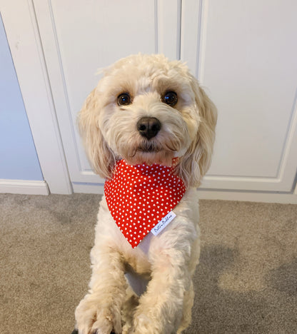 Tiny Hearts Bandana