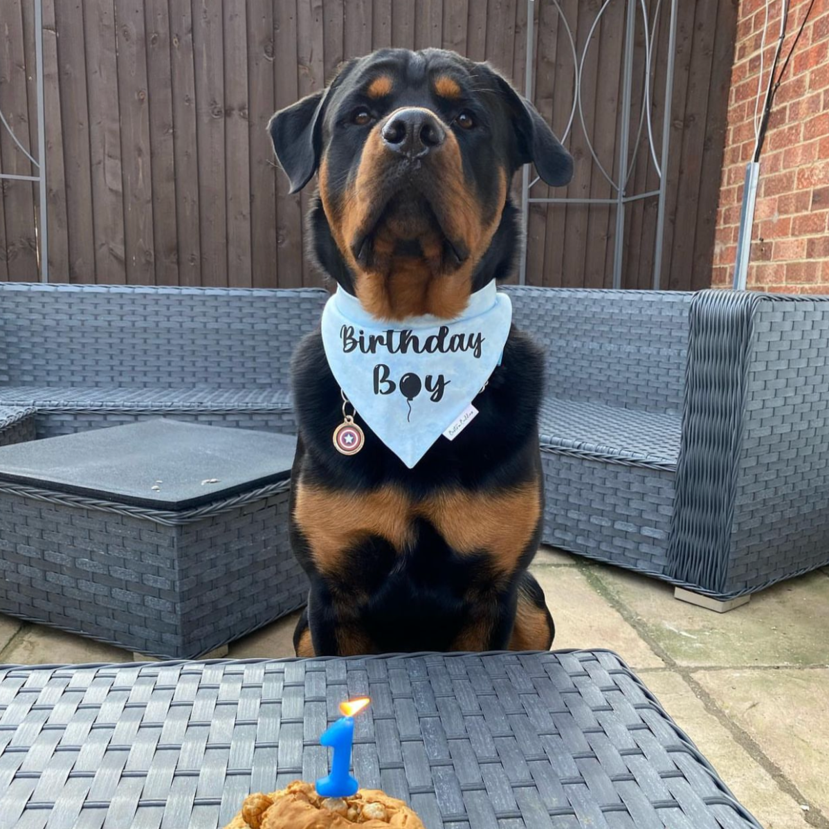 Birthday Boy Bandana