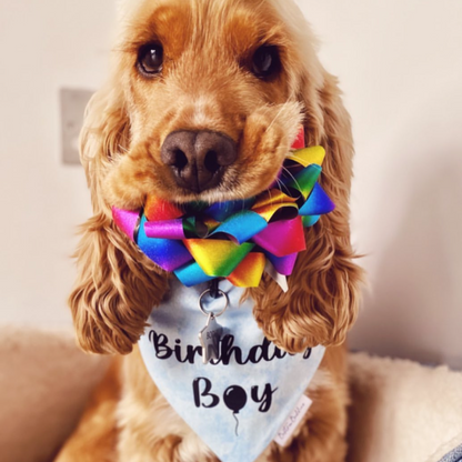 Birthday Boy Bandana