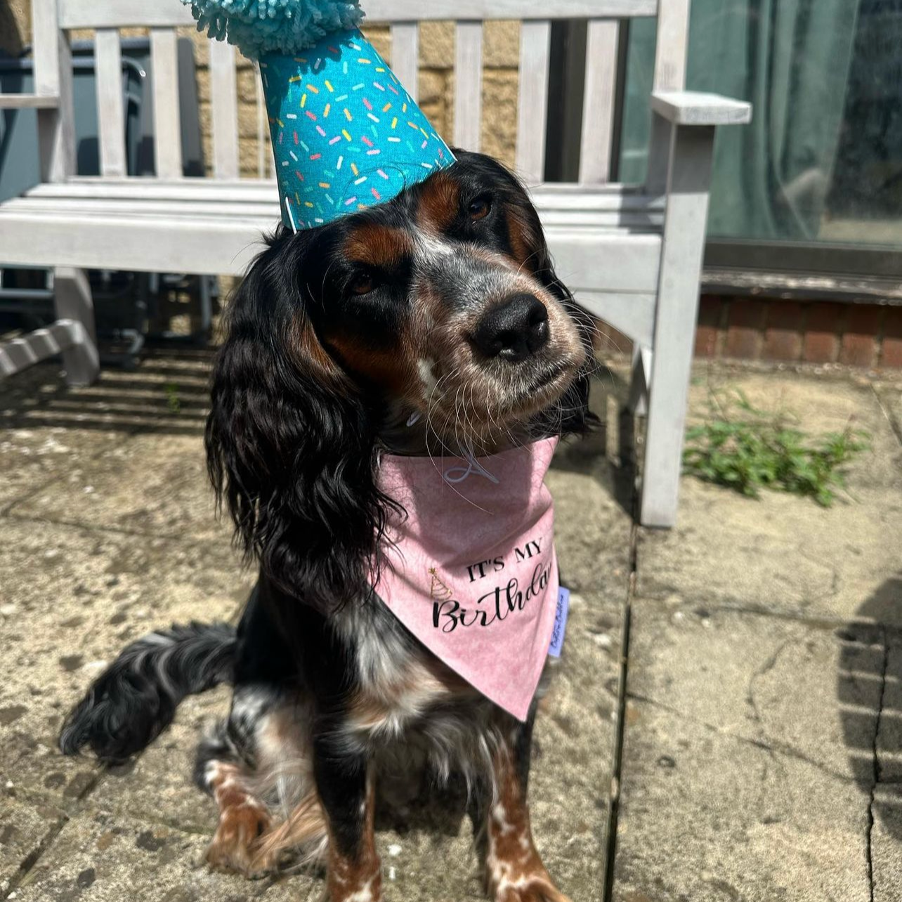 It's My Birthday Bandana- Pink