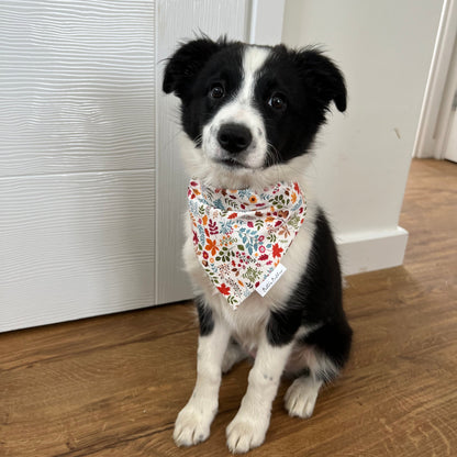 Autumn Leaves Dog Bandana