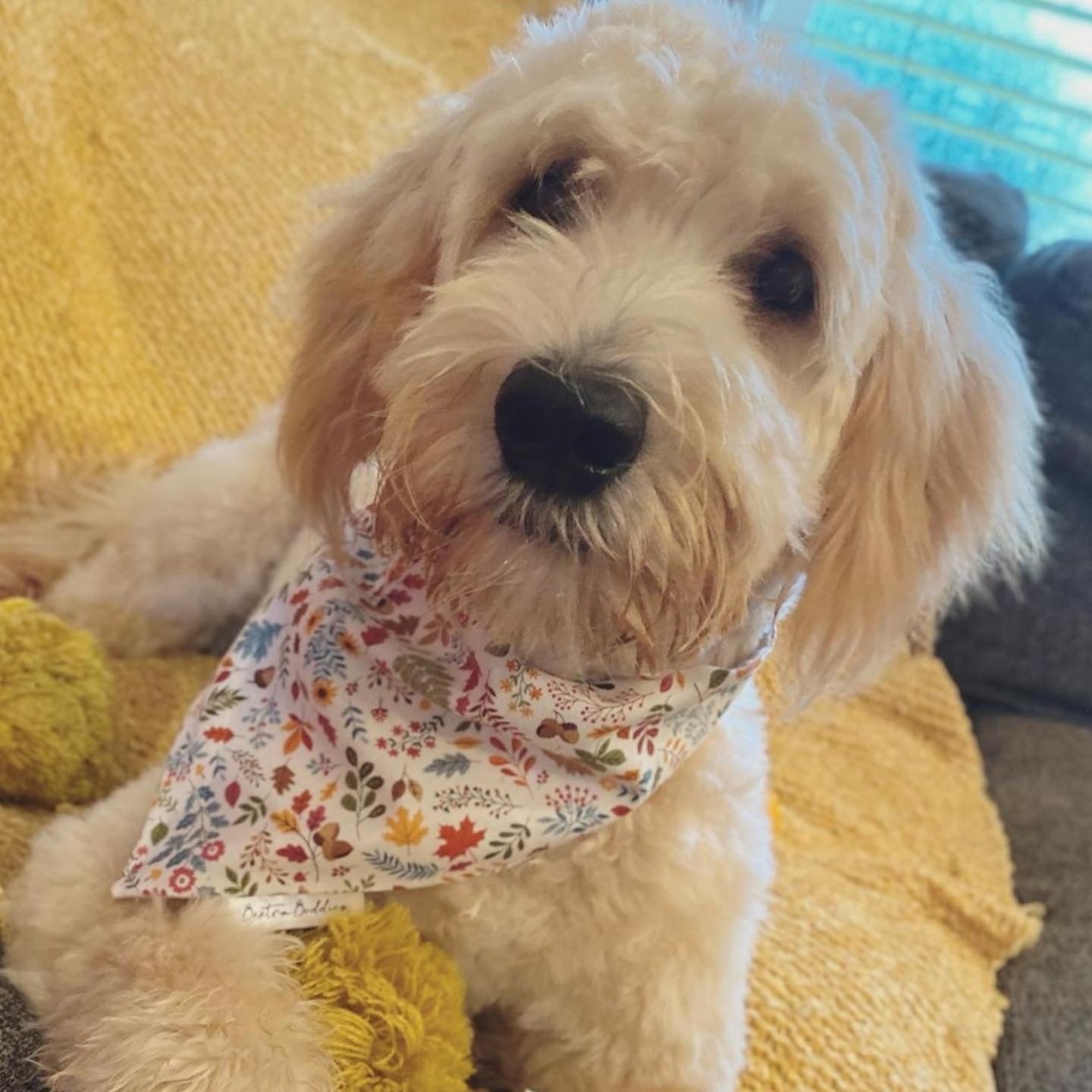 Autumn Leaves Dog Bandana