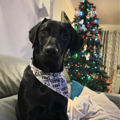 Santa Paws Bandana