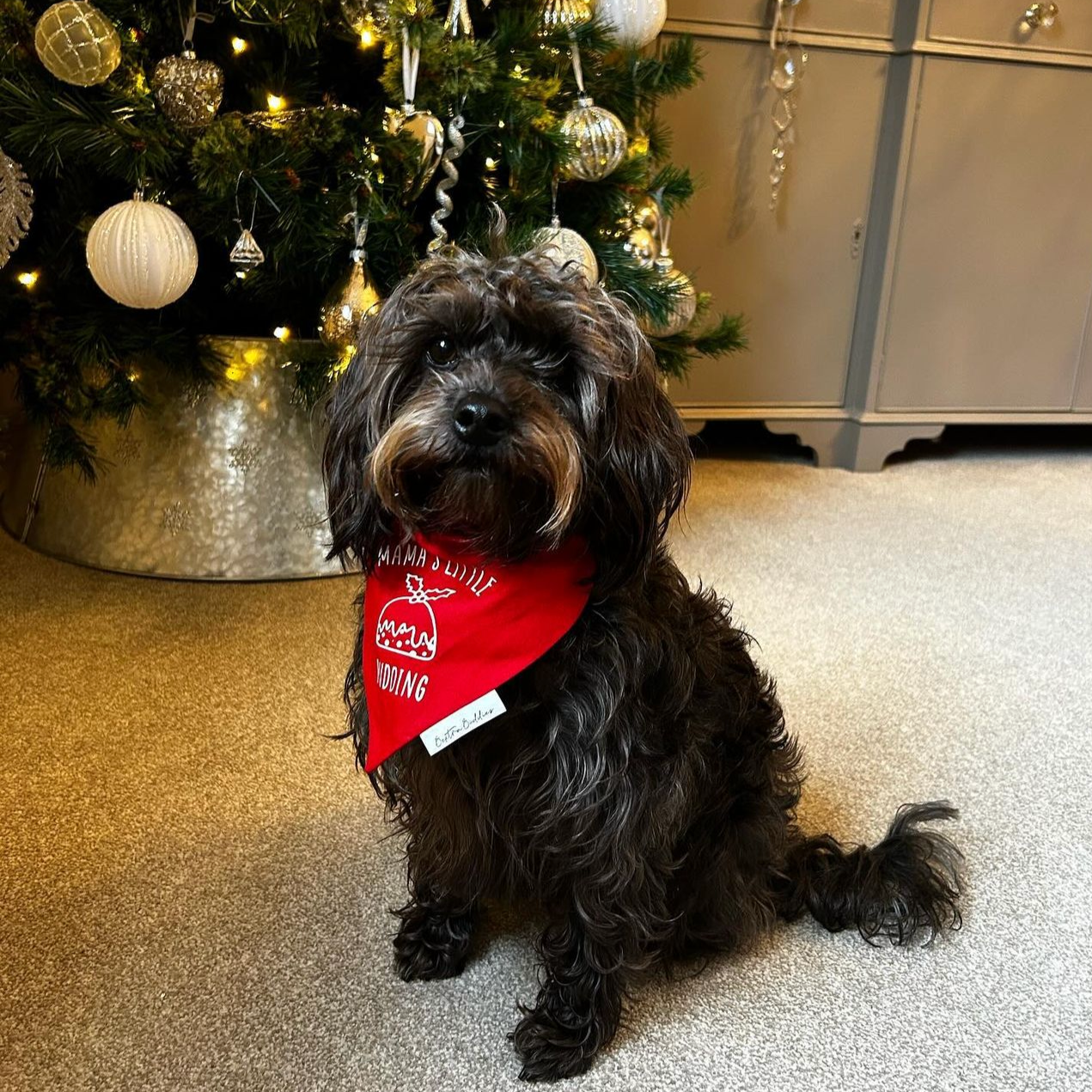 Mama's Little Pudding Bandana