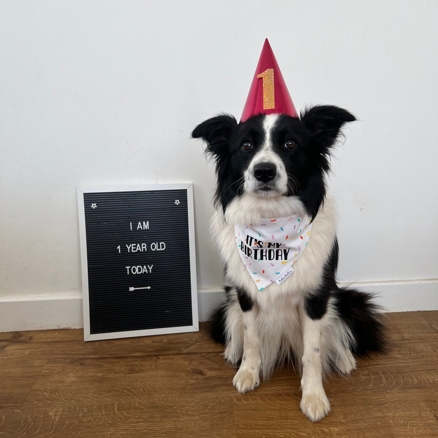 Sprinkles Birthday Bandana